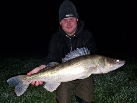 Zander