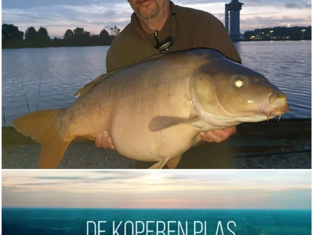 Karpfen