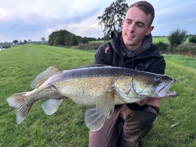 Zander