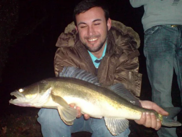 Zander
