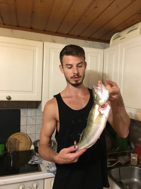 Zander