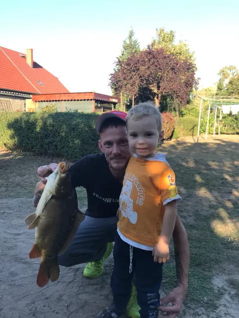 Karpfen