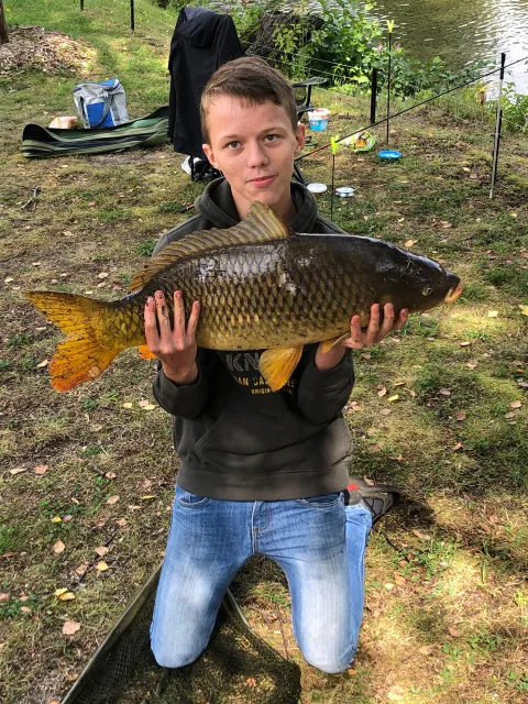 Karpfen