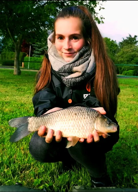 Giebel