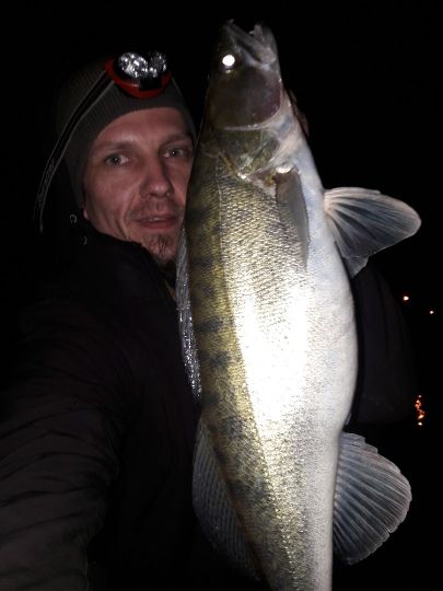 Zander