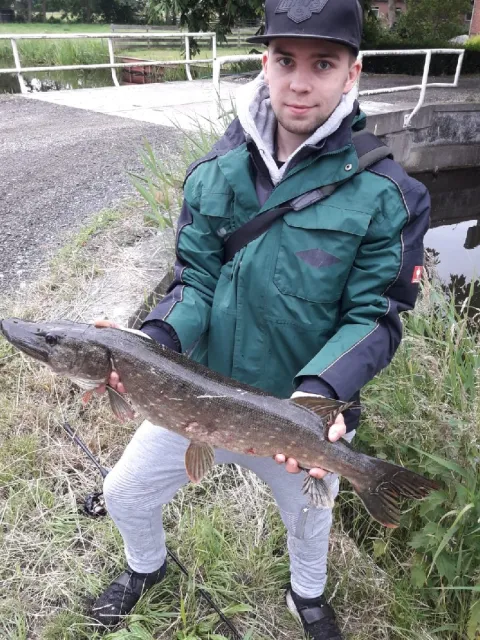 Hecht