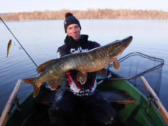 Hecht
