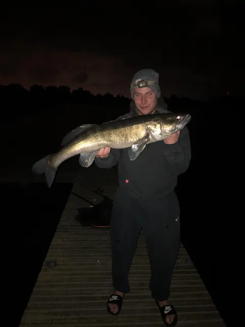 Zander