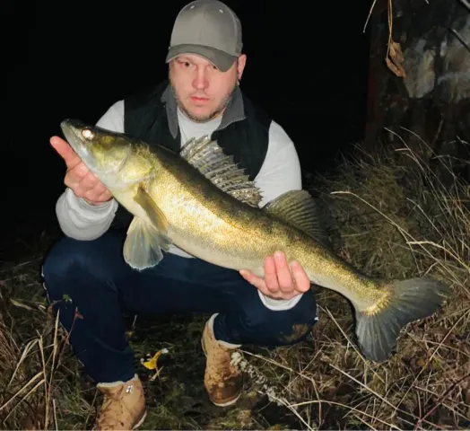 Zander