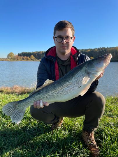 Zander