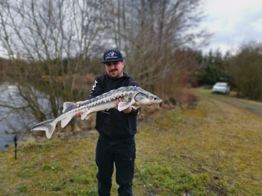 Parkplatz Fischen Feldkirchen Gemeinde Goldwrth Sterreich Parkplatz Fischen Feldkirchen Gemeinde Goldwrth Sterreich
