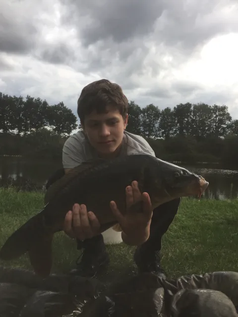 Karpfen