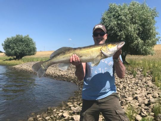 Zander