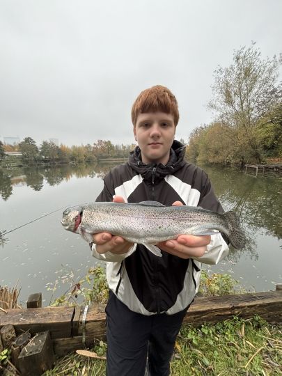 Regenbogenforelle