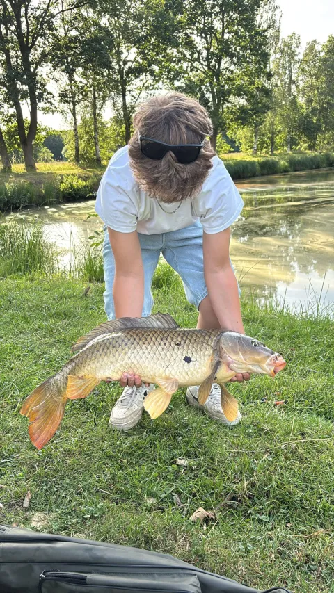 Karpfen
