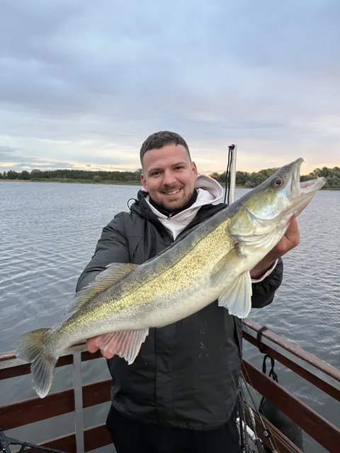 Zander