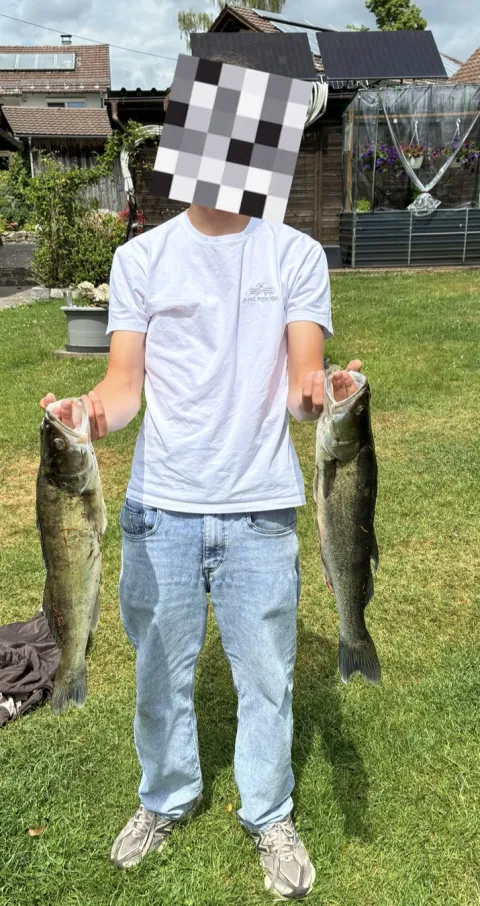 Zander