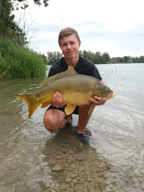Karpfen