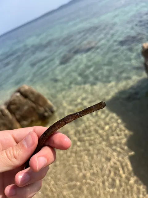 Sandaal