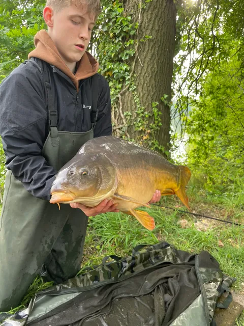 Karpfen