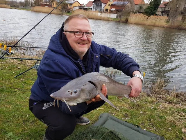 Stör