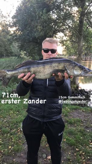 Zander