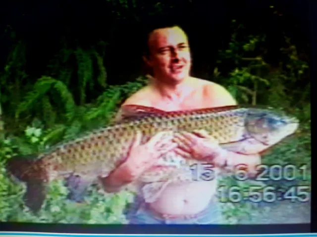 Graskarpfen