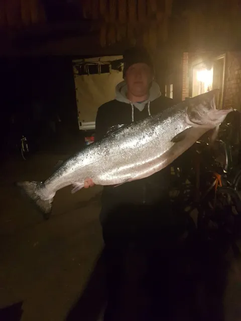 Lachs