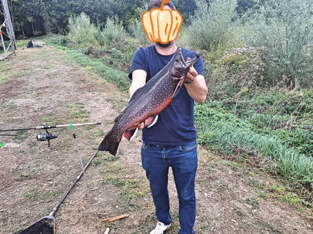 Seesaibling