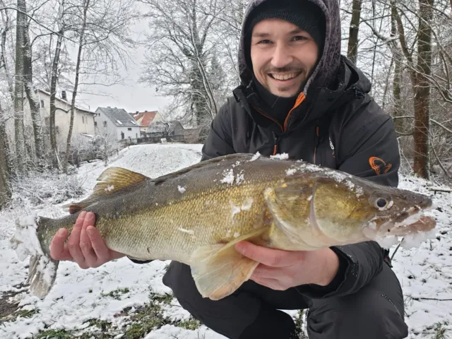 Zander