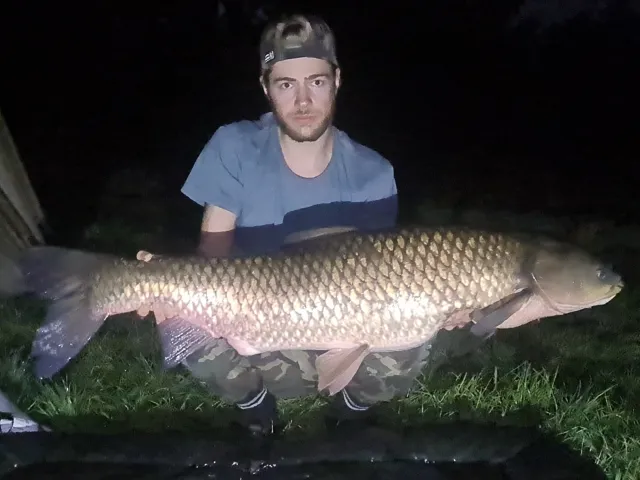 Graskarpfen