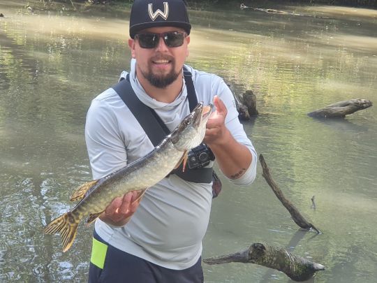 Weißer Main (Fölschnitz) ALLE ANGELN