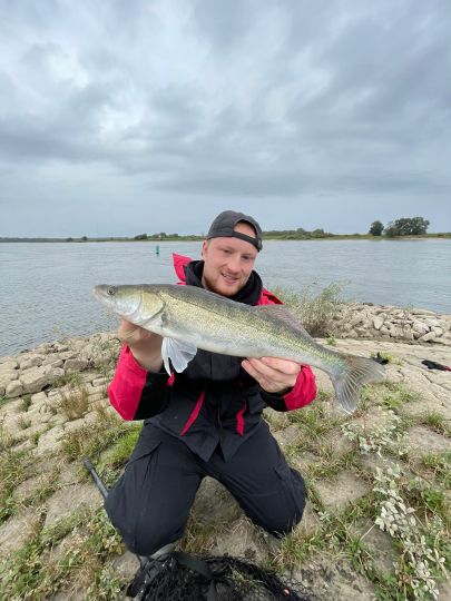 Zander