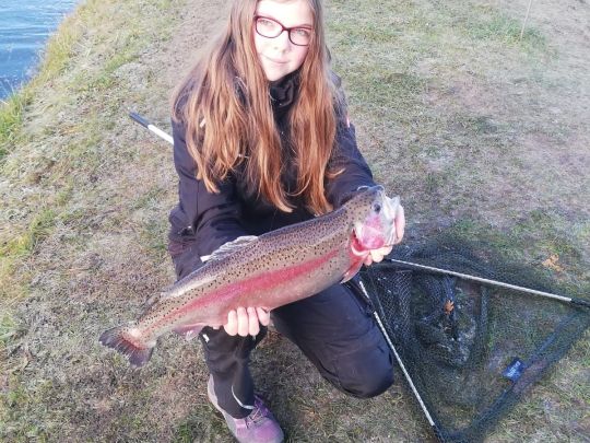 Regenbogenforelle