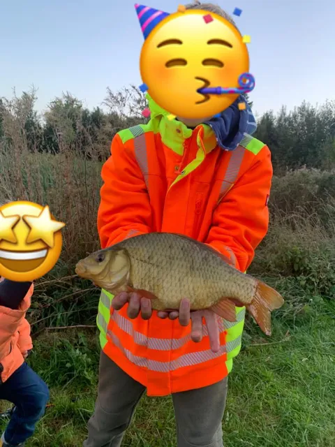 Karausche