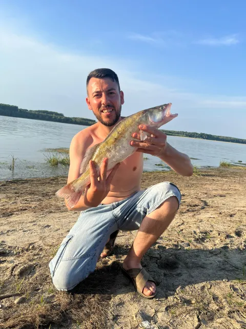 Zander