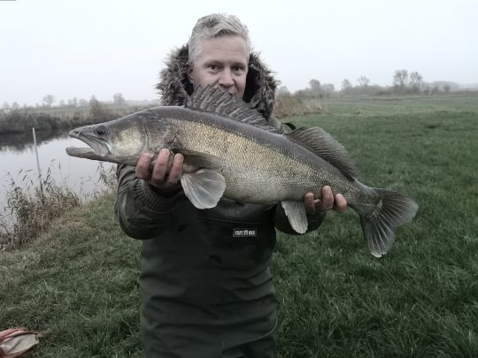 Zander