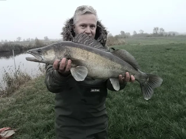 Zander