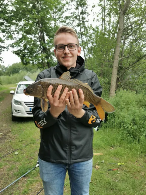Karpfen