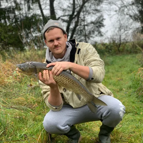 Graskarpfen