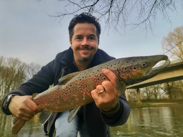 Lachs