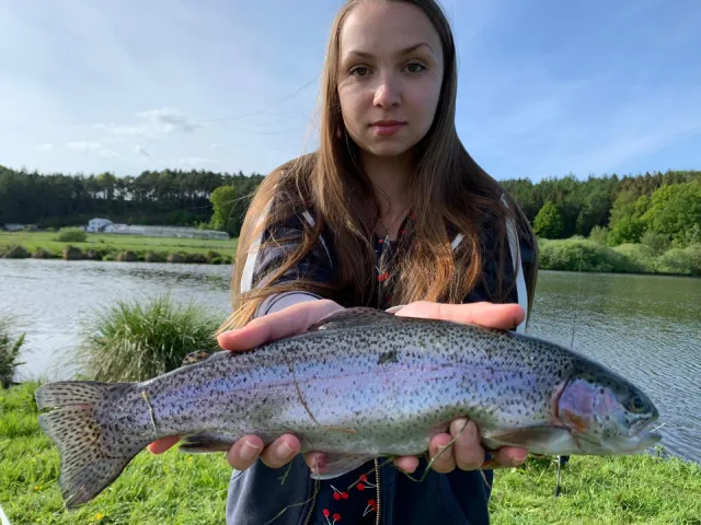 Regenbogenforelle