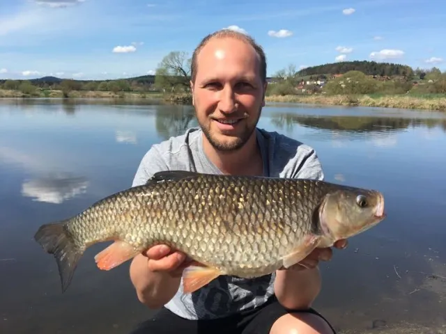 Döbel
