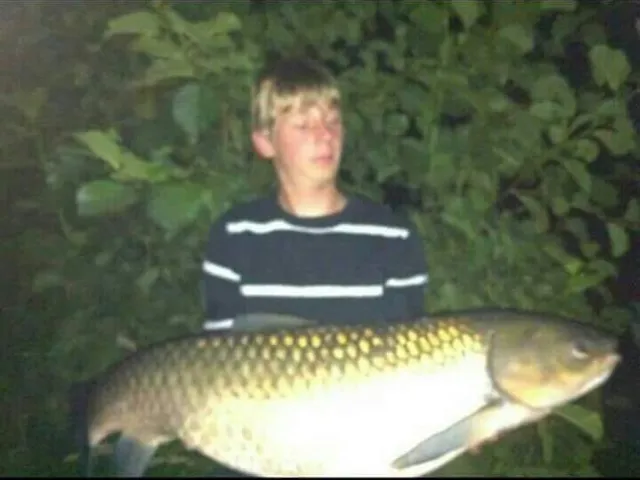 Graskarpfen
