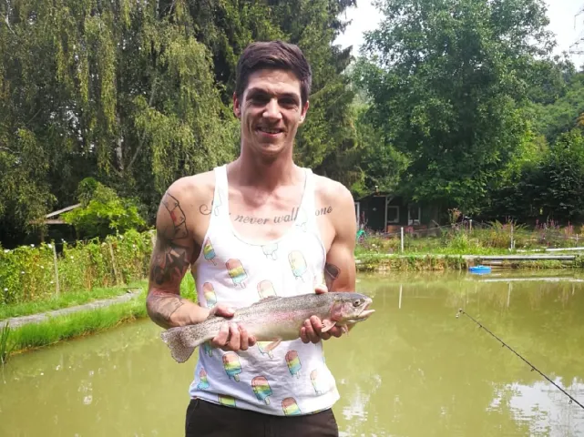 Regenbogenforelle