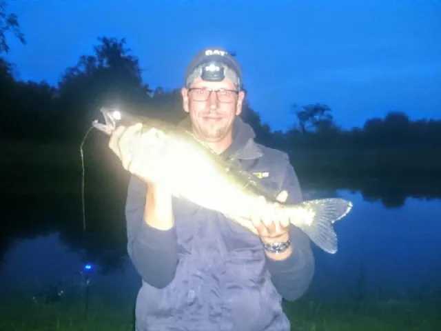 Zander