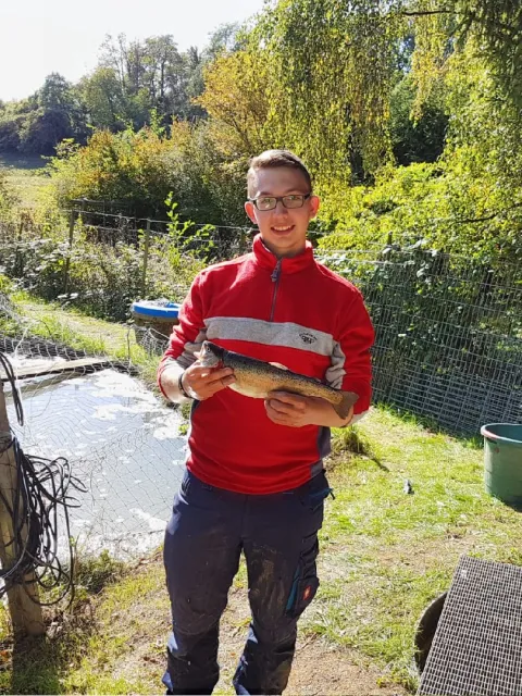 Regenbogenforelle