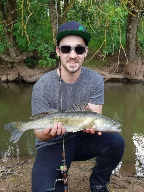 Zander
