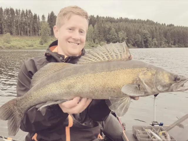 Zander