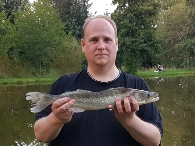 Zander